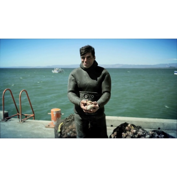 GEOMAR Golden Abalone in Brine - 6 Pieces (450g)