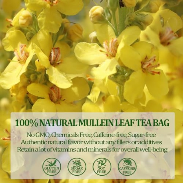 Mullein Leaf Tea, Lung Cleanse, 40 Bags, 3g Each