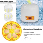 Automatic Egg Incubator with Turner & Humidity Control