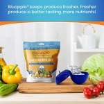 Bluapple Produce Saver 1-Year Refill Kit - 8 Packets