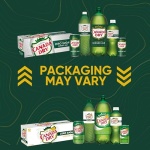 Canada Dry Ginger Ale, 355 ml cans (Pack of 12)