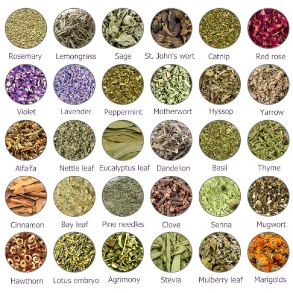 Witchcraft Herbs Kit for Beginners - 30 Pack Dried Herbs