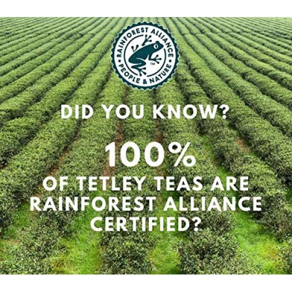 Tetley British Blend Black Tea, 80 Bags