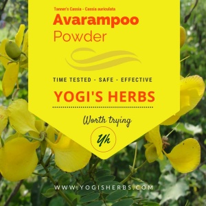 YOGIS HERBS Premium Avarampoo Powder 454g (Pack of 1)