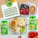 GoGo squeeZ Fruit on the Go, Apple & Cinnamon, 90g (20 Pack)