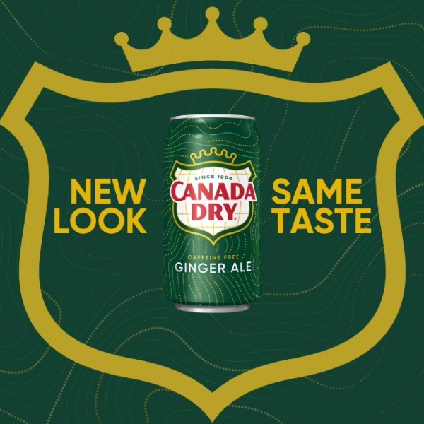 Canada Dry Ginger Ale, 355 ml cans (Pack of 12)