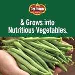 Del Monte French Style Green Beans, 227g (Pack of 12)