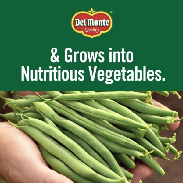 Del Monte French Style Green Beans, 227g (Pack of 12)