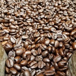 Cameron's Organic Espresso Whole Bean Coffee, 793g