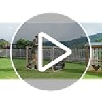 Land Guard 19 Gauge 1.27 cm Chicken Wire Mesh Roll