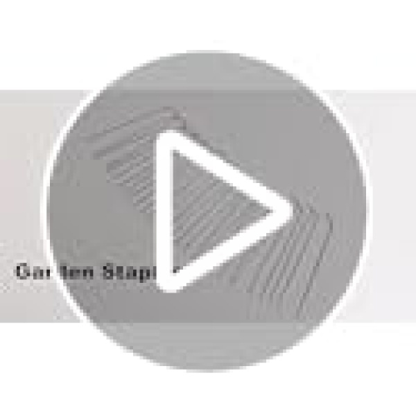 GROWNEER 50-Pack 30cm Heavy Duty 11 Gauge Garden Stakes