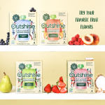 Outshine Peach Raspberry Yogurt Smoothie Pouches (24)