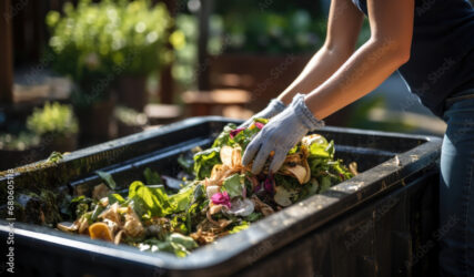 Housewife tosses biowaste in the trash.Uneaten spoiled vegetables are thrown in the trash. Food Loss and Food Waste. Reducing Wasted Food At Home