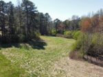 123 Fir Street, 67890 Iron Town