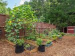 23 Umbrella Tree, 67890 Uranium Town