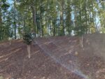 123 Jasmine Street, 67890 Iron City