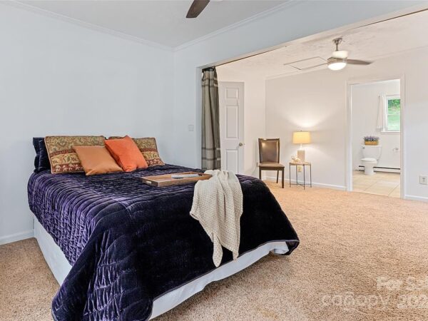 42 Tulip Street, 23456 Titanium City