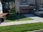 123 Jasmine Street, 67890 Iron City