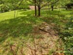 112 Teakwood Drive, 36425 Titanium City