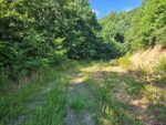 17 Quince Street, 32415 Iron City
