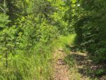 12 Willow Street, 37459 Silver City