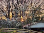 72 Fir Street, 48392 Silver City