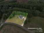 23 Fir Street, 86753 Iron Town