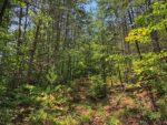 12 Willow Street, 37459 Silver City