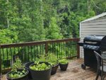 234 Quince St, 48275 Silver City