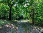 123 Rosewood Street, 67890 Platinum Town