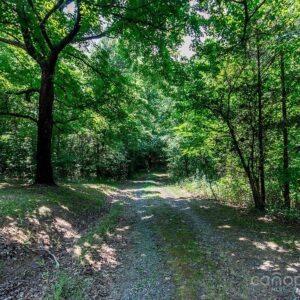 123 Rosewood Street, 67890 Platinum Town