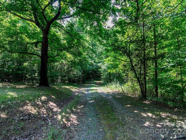 123 Rosewood Street, 67890 Platinum Town