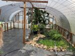 123 Jasmine St, 67890 Silver Town