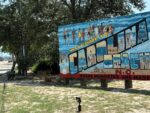 244 Dogwood Drive, 73591 Diamond Town