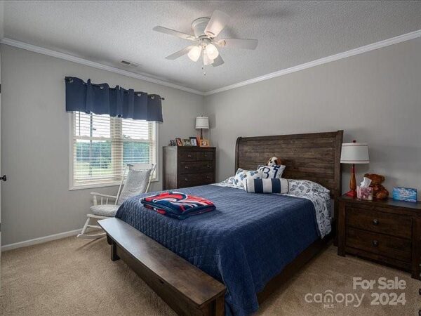 23 Fir Street, 86753 Iron Town