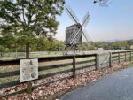 124 Violet Street, 65723 Silver City