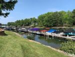 172 Lilac Street, 48372 Titanium Town