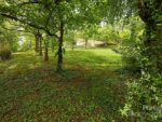 112 Teakwood Drive, 36425 Titanium City
