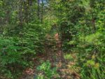 12 Willow Street, 37459 Silver City