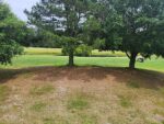 59 Ivy Street, 48320 Iron City
