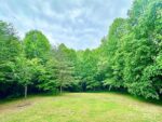 159 Rosewood Street, 48291 Ironville