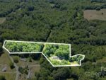 154 Kingfisher Road, 87654 Krypton City