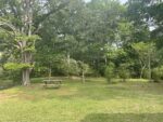 124 Birch Ave, 38904 Bronze Town
