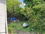 72 Daisy Lane, 94530 Diamond City