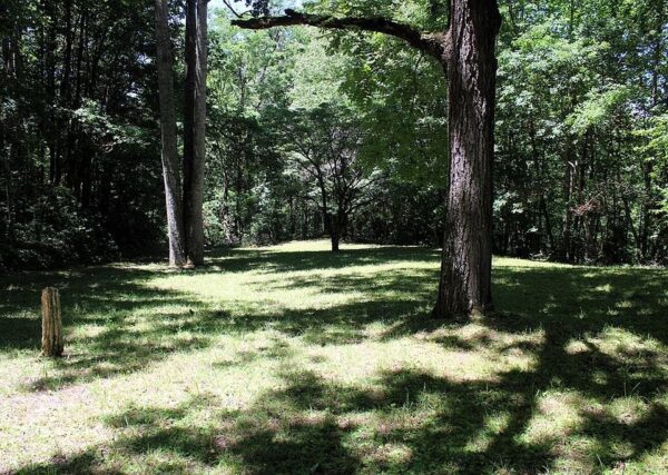 72 Kestrel Lane, 85032 Krypton Town