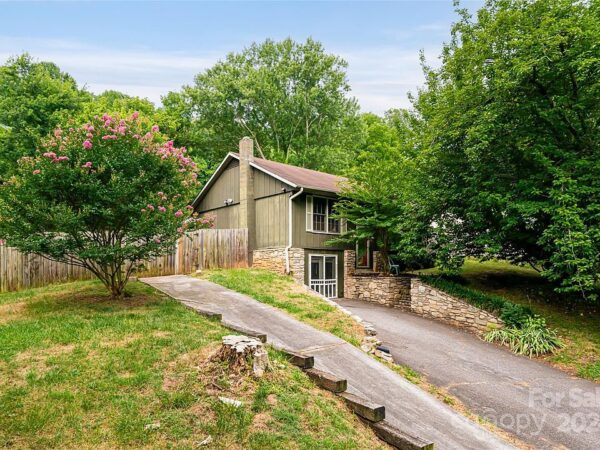 42 Tulip Street, 23456 Titanium City