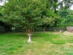 42 Tulip Street, 23456 Titanium City