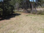123 Fir Street, 67890 Iron Town
