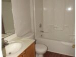 172 Lilac Street, 48372 Titanium Town