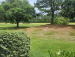 59 Ivy Street, 48320 Iron City
